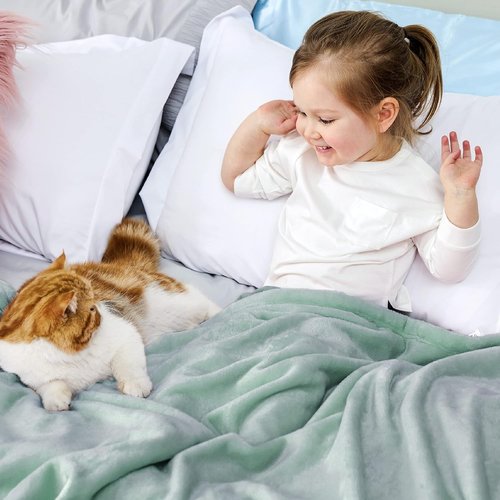 Bedsure GentleSoft Fleece Blanket - Cozy Travel Throw for Kids, 43x55 Inches, Sage Green