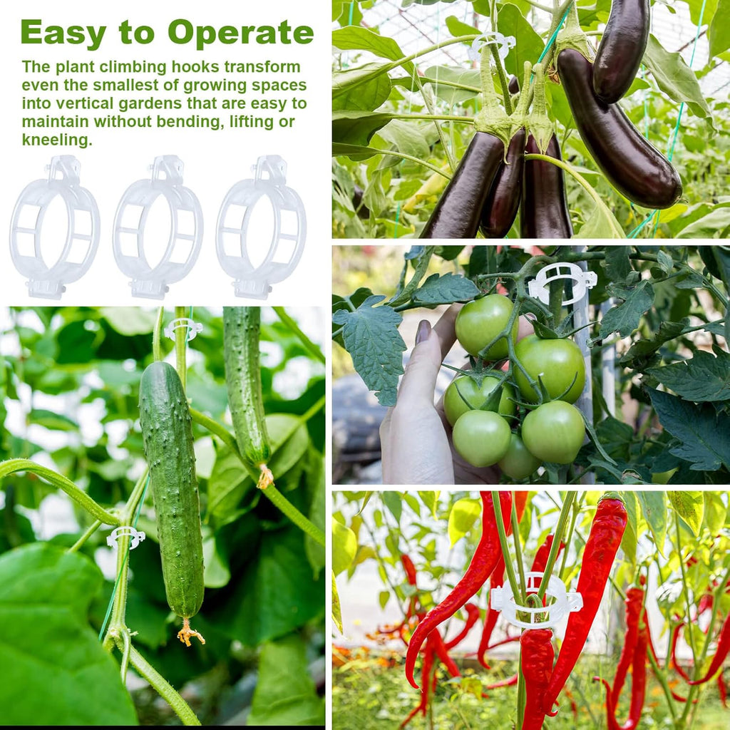 Skiennix 30Pcs Tomato Support Hooks - Durable Holders with 33.3ft Twine for Healthy Growth