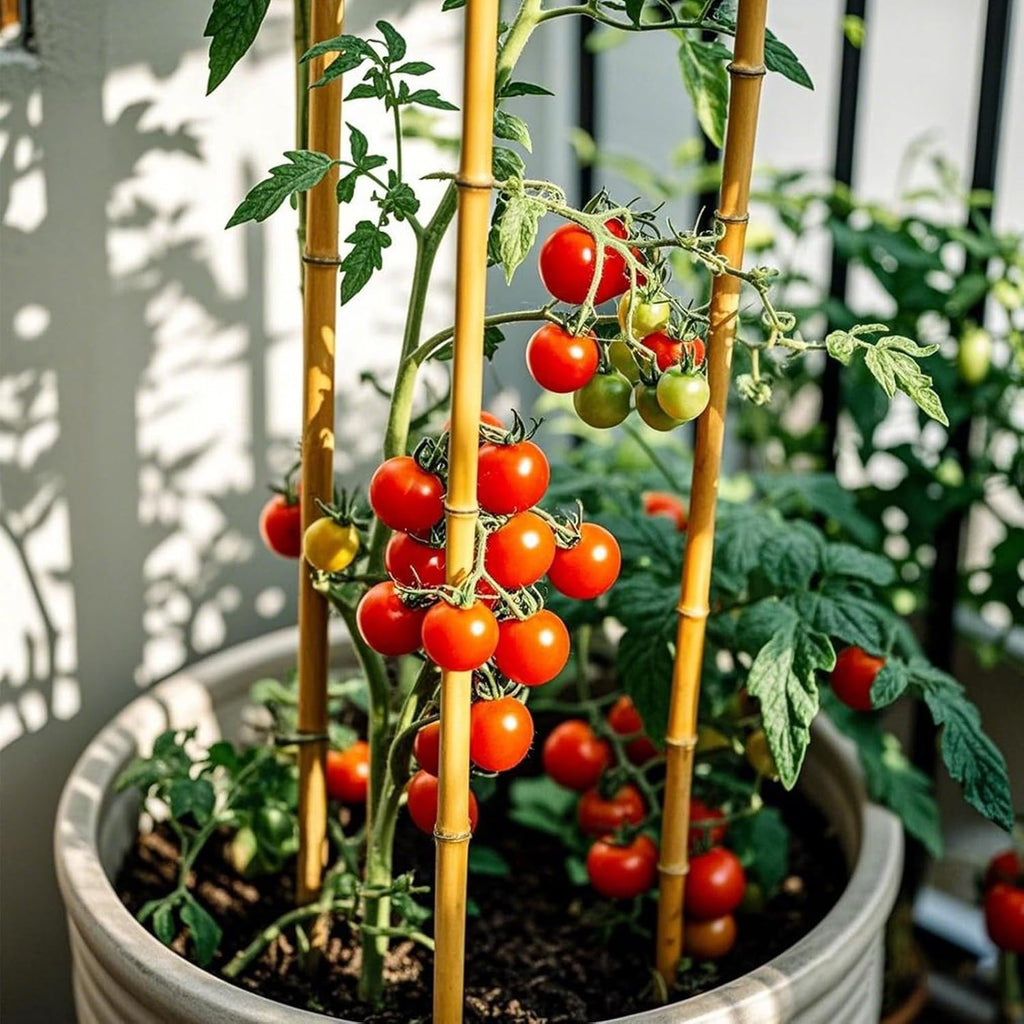 Bamboo Plant Stakes by [Brand Name] - 4FT Natural Bamboo Garden Stakes | 25Pcs for Tomatoes, Beans & Climbing Plants