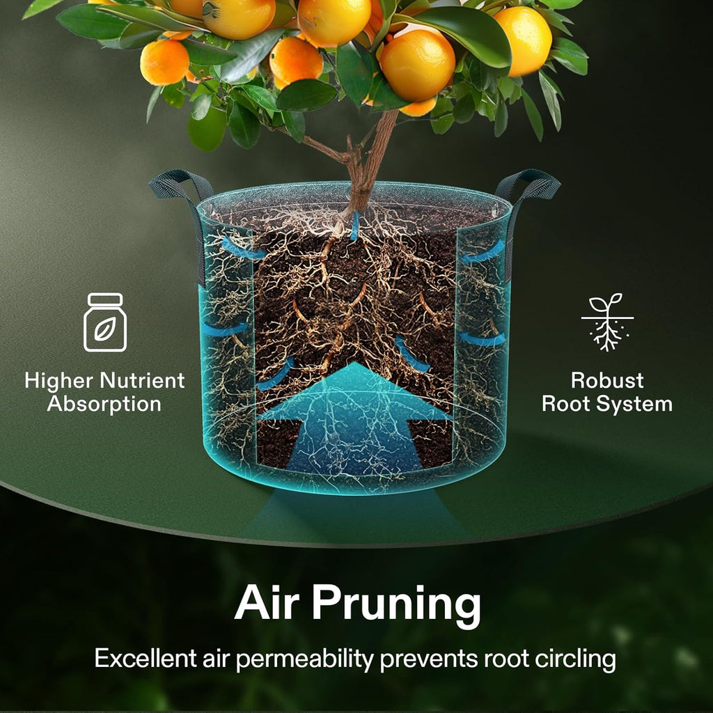 VIVOSUN 3 Gallon Grow Bags - 5-Pack Thick Nonwoven Fabric Pots with Strap Handles for Plant Training