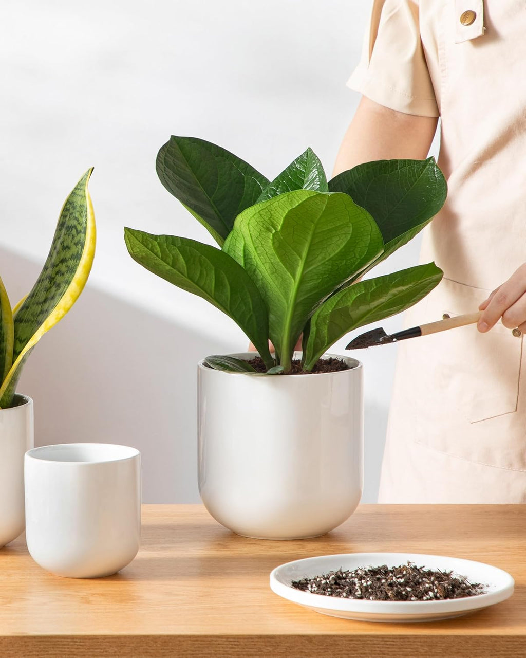 Vancasso Ceramic Plant Pots - Set of 3 (4", 5", 6") | Modern Indoor Planters with Drainage Holes