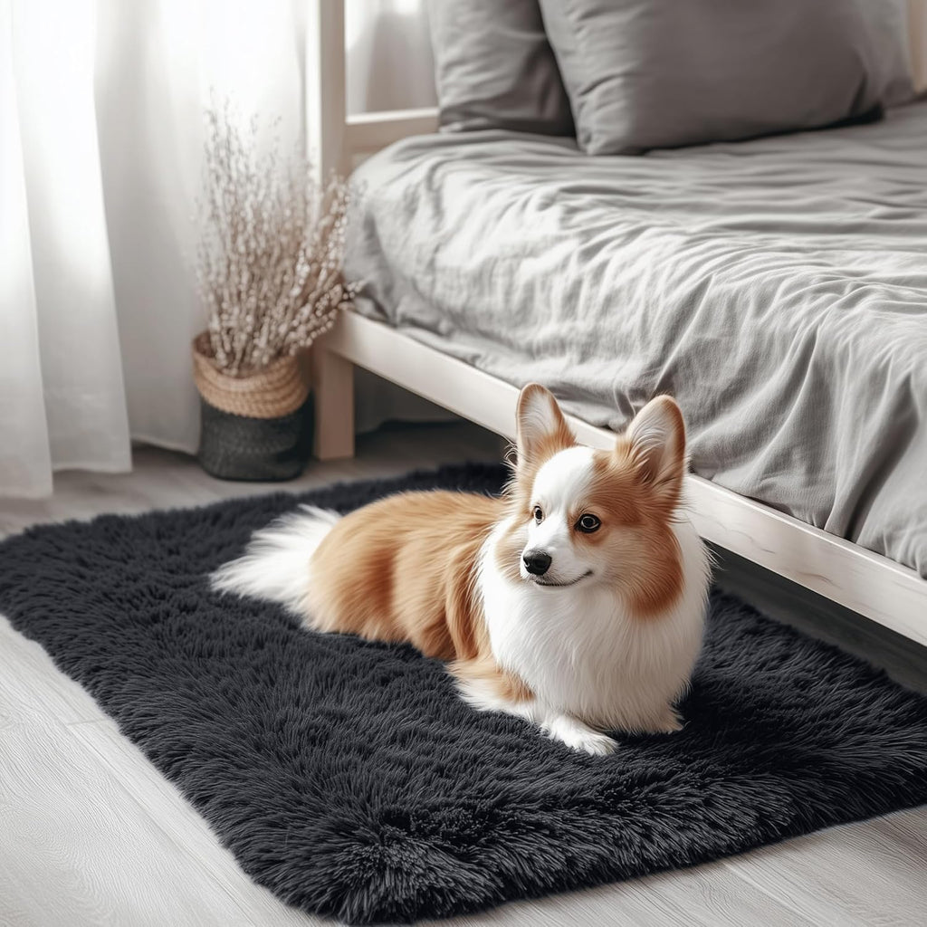 OLANLY Soft Fluffy Shaggy Bedside Rug - Machine Washable 2x3 for Bedroom & Nursery | Black Indoor Carpet