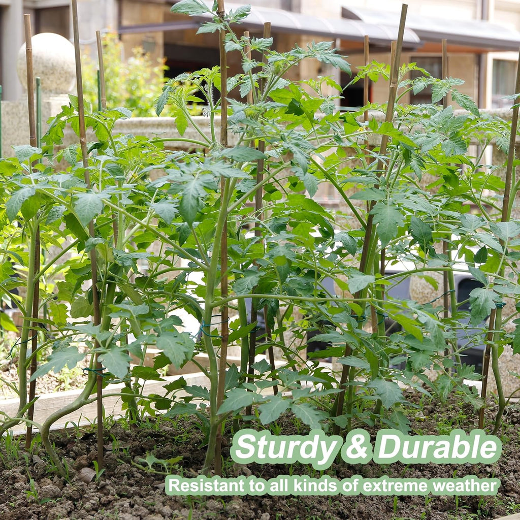 Bamboo Stakes - Eco-Friendly Plant Support Poles | 50-Pack, 4.8FT Height for Tomatoes, Beans & Flowers