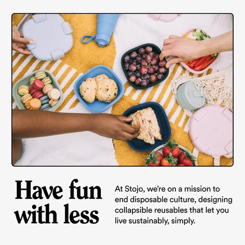 STOJO Collapsible Sandwich Box – 24oz, Reusable Food Storage Container, Silicone Bowl for Hot/Cold Food – Meal Prep, Lunch, Camping, Hiking – Dishwasher Safe (Translucent Carnation, Set of 5)