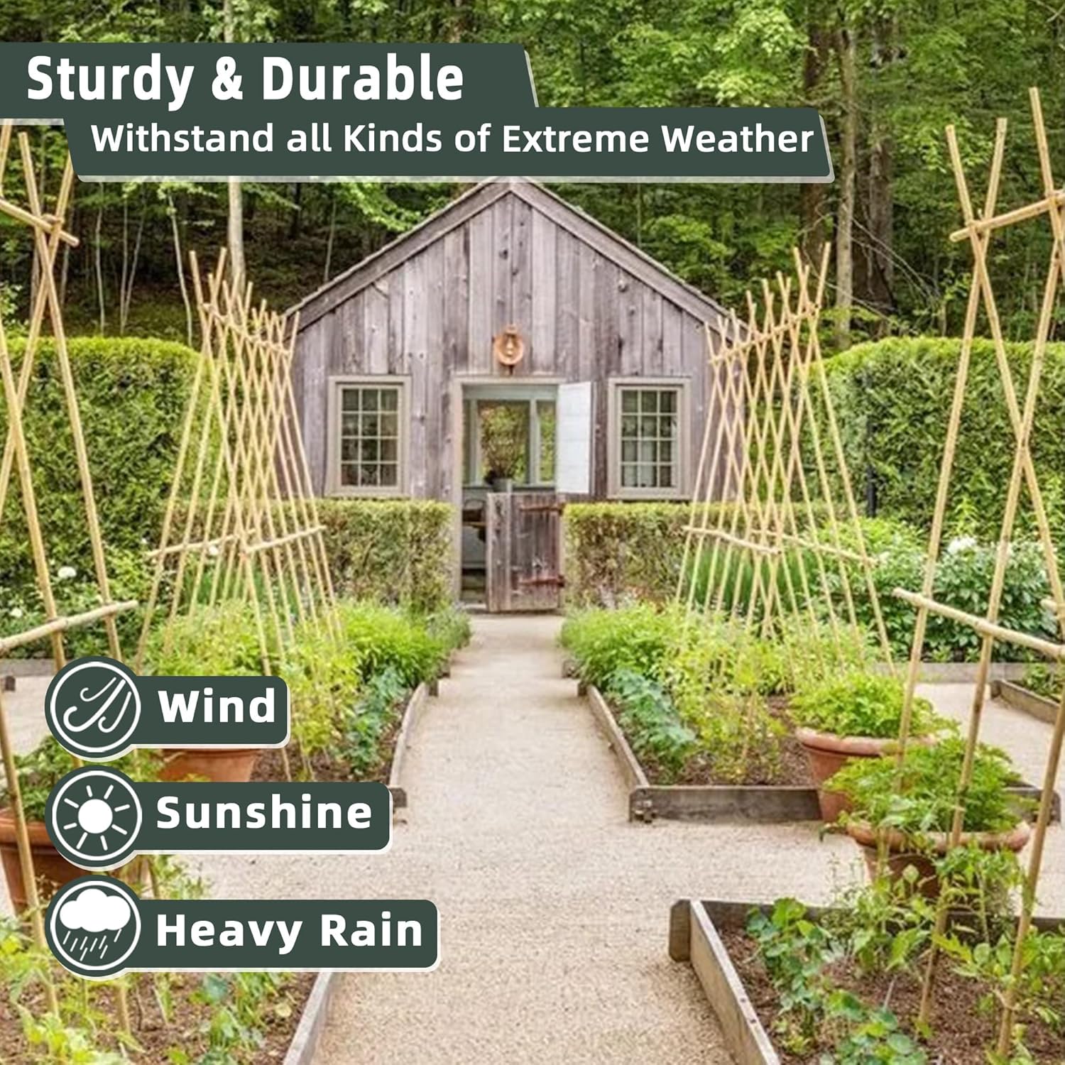 Bamboo Plant Stakes - 50 Pcs 2ft Garden Support Sticks for Indoor/Outdoor Plants | Ideal for Tomatoes, Vegetables, and Climbing Plants