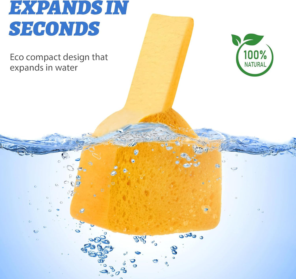 Pop-Up Cellulose Sponges - Biodegradable & Super Absorbent | Large Thick, Tear-Resistant | 6 Pack for Kitchen & Dishes