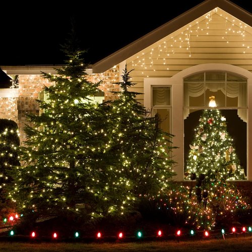 Clear Incandescent Bulb Mini String Lights - 100 Green Wire for Indoor Christmas Tree & Party Decor