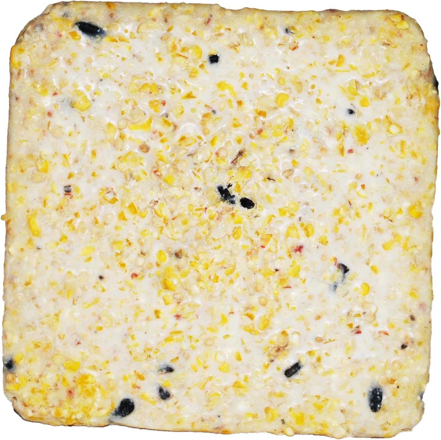 St. Albans Bay Suet Plus Wild Bird Suet Cakes - High Energy Variety Pack, 11 oz | 10 Count
