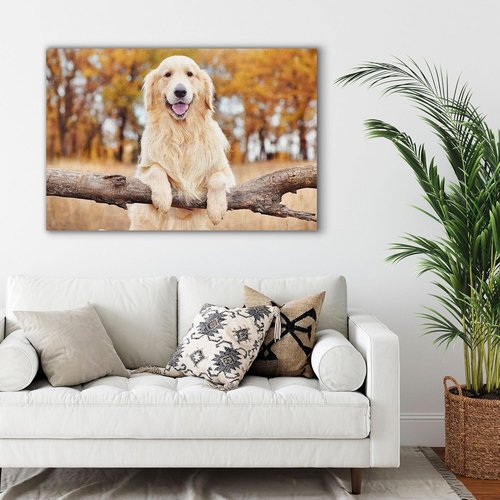 Custom Canvas Prints - Personalized Photo Wall Art for Family & Pets | Framed 20x16