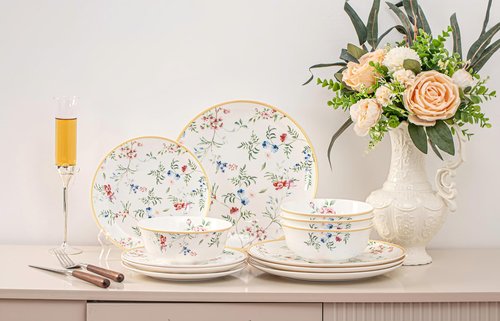 FHGNYSM Bone China Plates and Bowels,12-Pieces Dinnerware Sets, Highly Chip and Crack Resistant, Dishwasher & Microwave Safe Dishes Set, Dense and Translucence