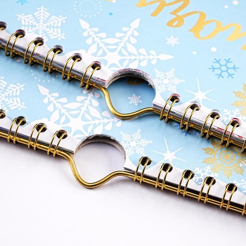 2026-2027 Wall Calendar by [Brand Name] - Large 12" x 17" Design with 12 Unique Themes for Easy Organization