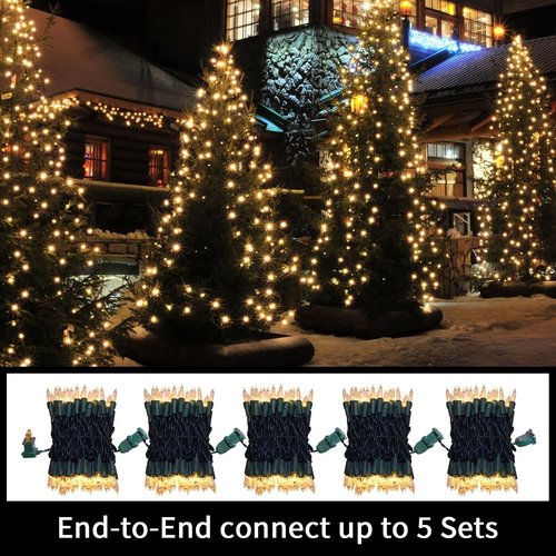 LAMPHOME Clear Warm White Christmas String Lights - 100 Count | 19.6Ft Waterproof Indoor/Outdoor Decor