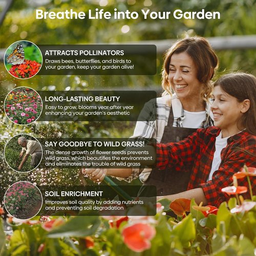 Groundio Wildflower Seeds - 26 Variety Mix for Pollinators | 1/4 lb Bulk, Plant in Spring or Fall