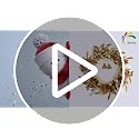 20-Inch Gold Christmas Wreath with Berries Bells and Pampas Grass for Front Door and Indoor Decor