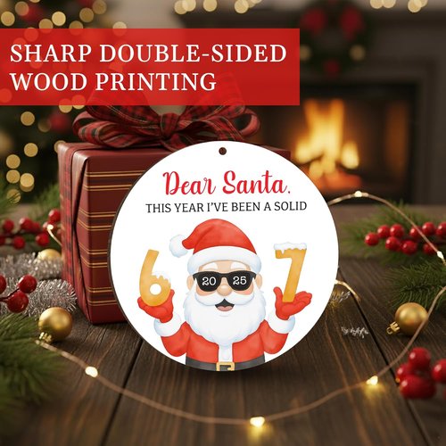 67 Meme Funny Christmas Ornaments - Hilarious Santa Tree Decor for Gag Gifts & Stocking Stuffers