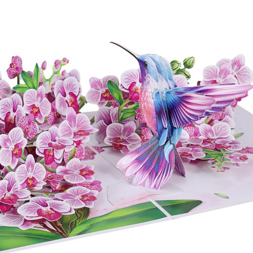 Hummingbird Pop Up Mothers Day Cards, 3D Purple Orchid Birthday Card For Women, Mom, Ideal Gift for Mothers Day, Thank You, Birthday, Thinking of You, All Occasion for Her, Sister, Grandma, Daughter