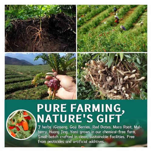 Kidney Tea Ginseng Six Treasure Tea for Kidney Health, Herbal Chinese Traditional Ginseng Five Treasures Natural Detox Formula, Corn-Fiber Teabag for Men & Women (30 Teabags)