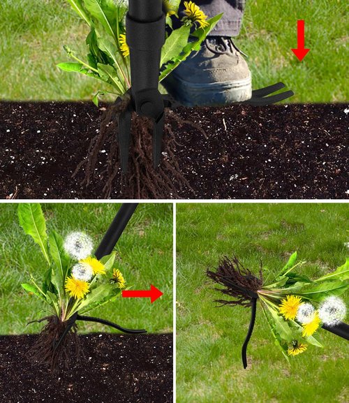 GardenWeasel Weed Puller Tool - 4-Claw Stand Up Weeding Tool with 47.8" Adjustable Stainless Steel Handle