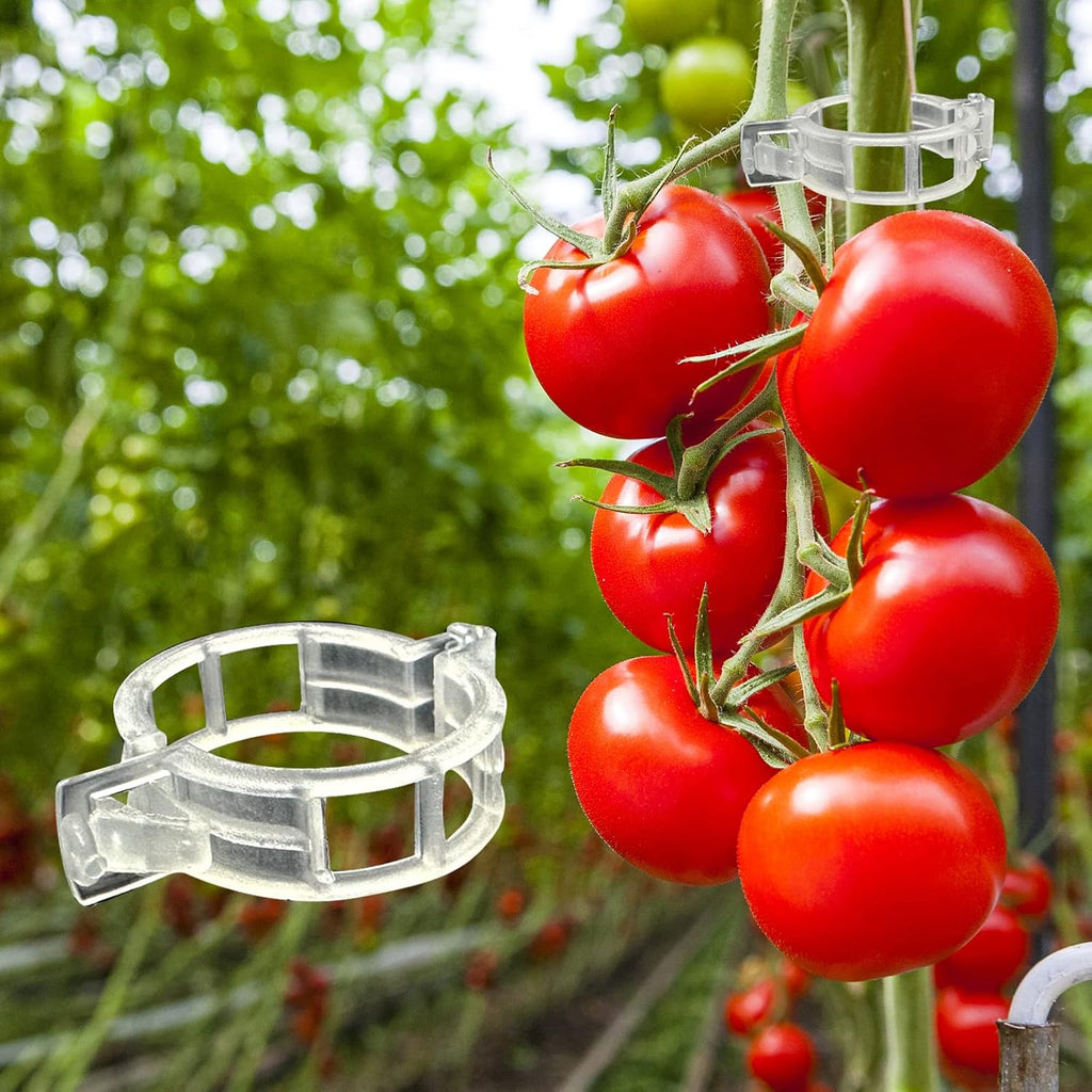 Piteno® Tomato Clips - 300 Pcs Plastic Trellis Clips for Garden Support | Ideal for Healthy Plant Growth