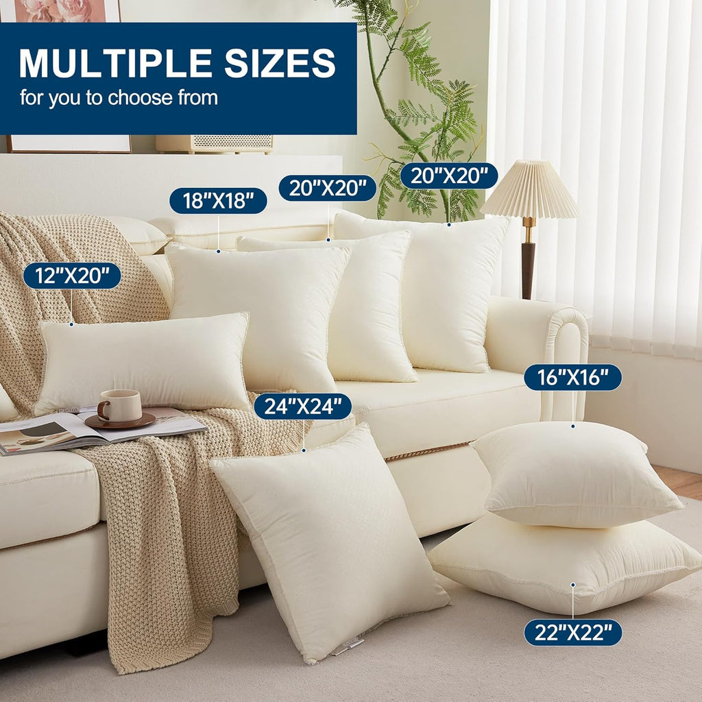 Skiennix 18 x 18 Throw Pillow Inserts - Soft Plush Virgin Fiber Filling | Machine Washable - White, Set of 2