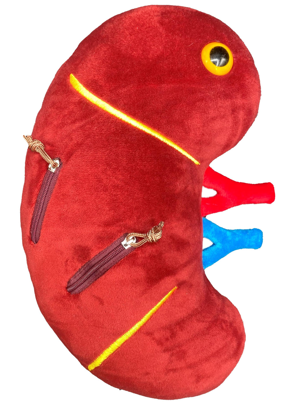 GIANTmicrobes Deluxe 12" Kidney Plush with Kidney Stones, Kidney Stuffed Animal, Kidney Transplant Gifts, Kidney Donor Gifts, Kidney Pillow, Urology Gifts, Nephrology Gifts, Dialysis Nurse Gifts