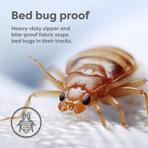 HOSPITOLOGY PRODUCTS Pillow Encasement - Hypoallergenic Bed Bug & Dust Mite Proof - Standard Size, Set of 2 - 20" H x 26" W