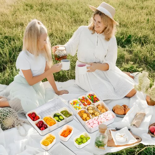 FEIOOD Patent Design Ribbed Snackle Box Container Snack Container Divided Serving Tray with Lid and Handle, 8 Divider Portable Snacklebox for Travel Beach for Charcuterie Veggie Fruit Candy,1 Pack