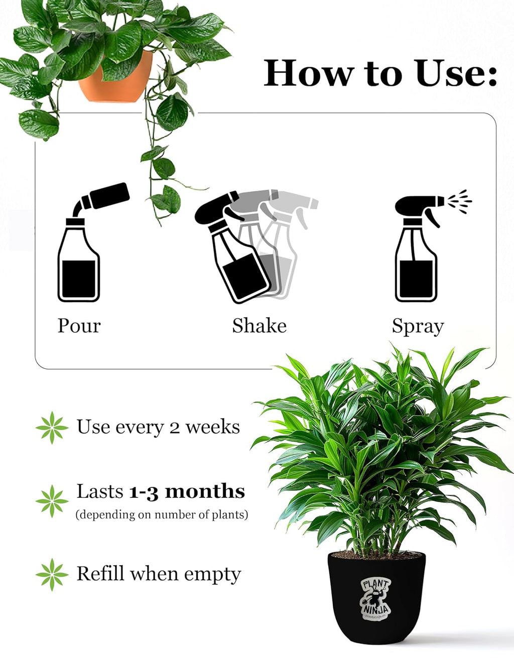 Plant & Leaf Spray - Non-Toxic Leaf Shine & Protector | Eco-Friendly Formula for Indoor Plants | Handcrafted & Women-Owned