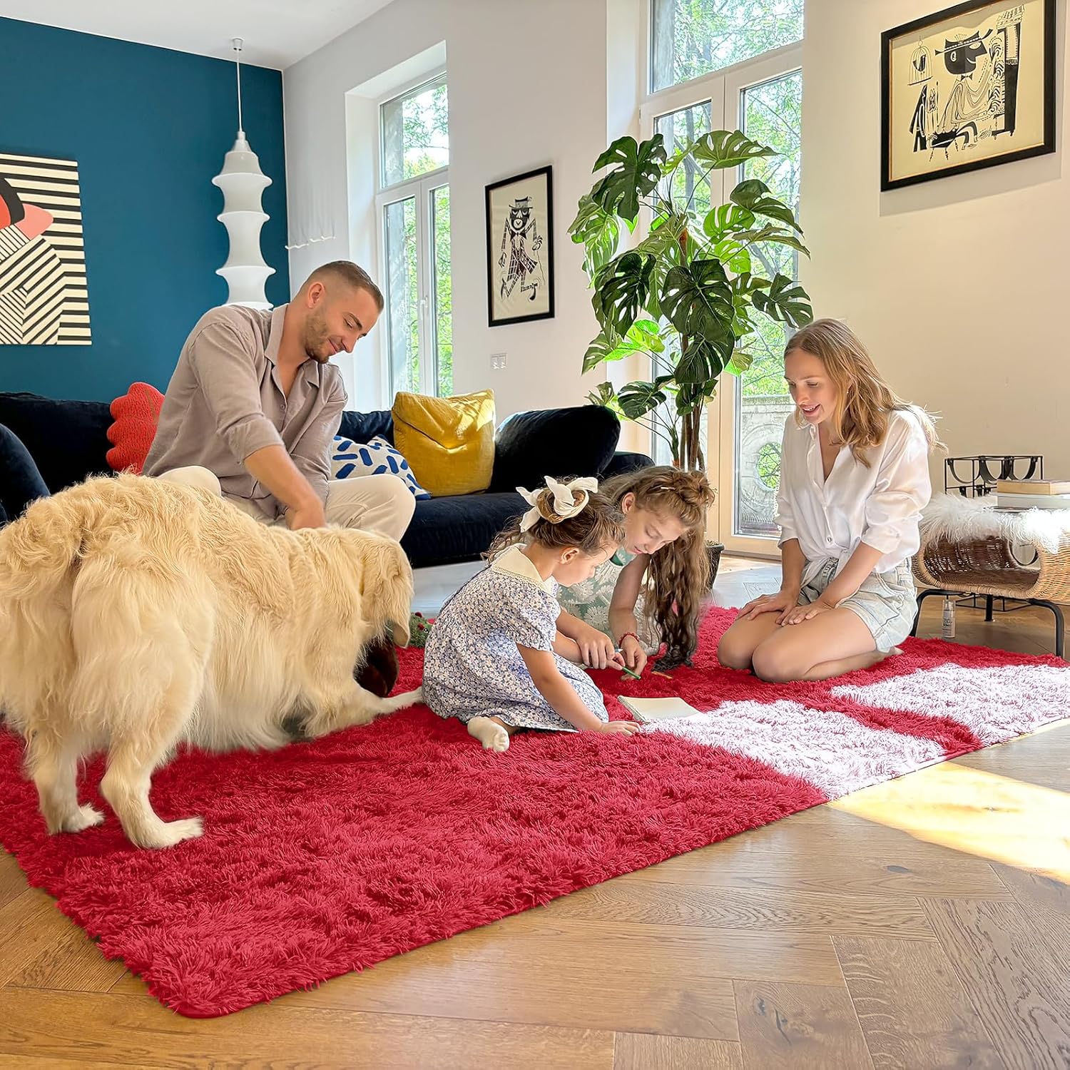 OLANLY Large Area Rug - Soft Fluffy Shaggy Carpet for Living Room & Bedroom | 9x12 Red Indoor Decor