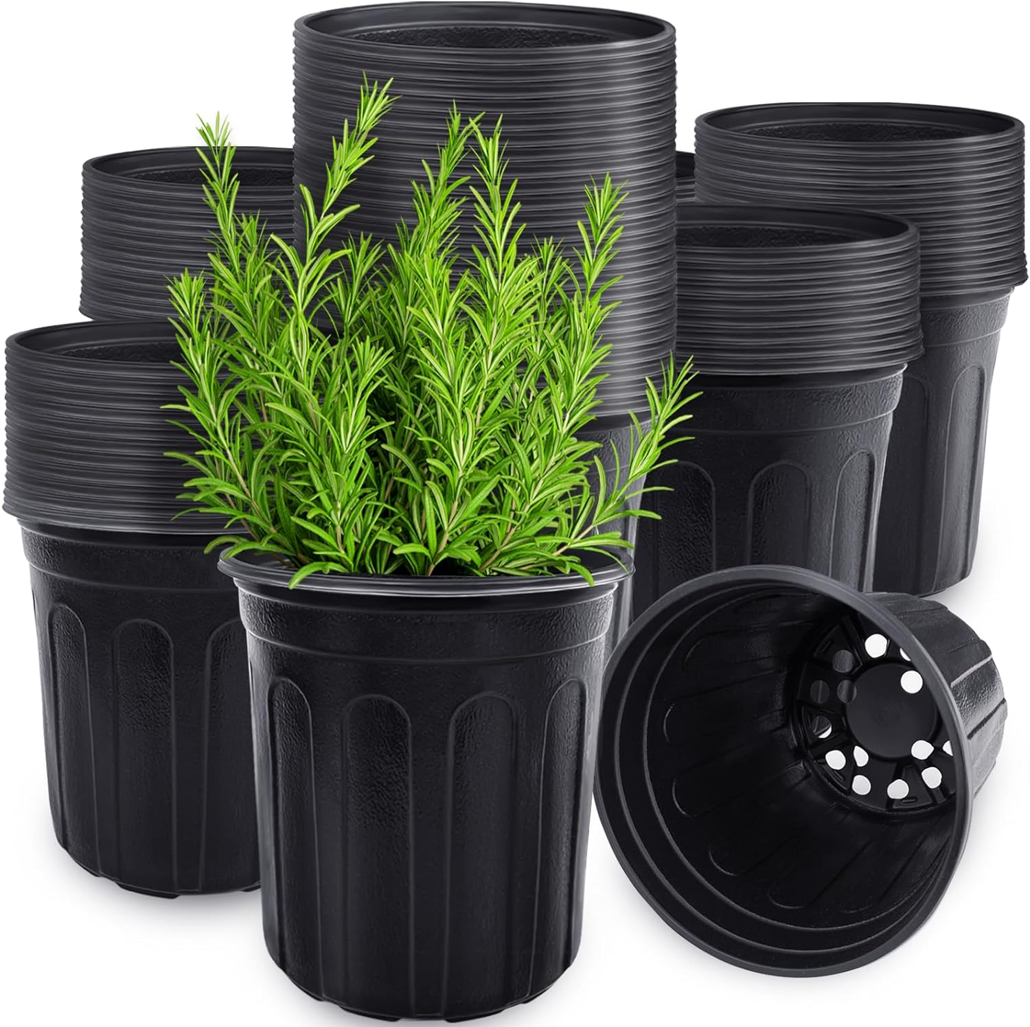 Anyumocz 60 Pcs Flexible 1 Gallon Plant Nursery Pots - Thickened Soft Plastic for Succulents & Transplanting | Black