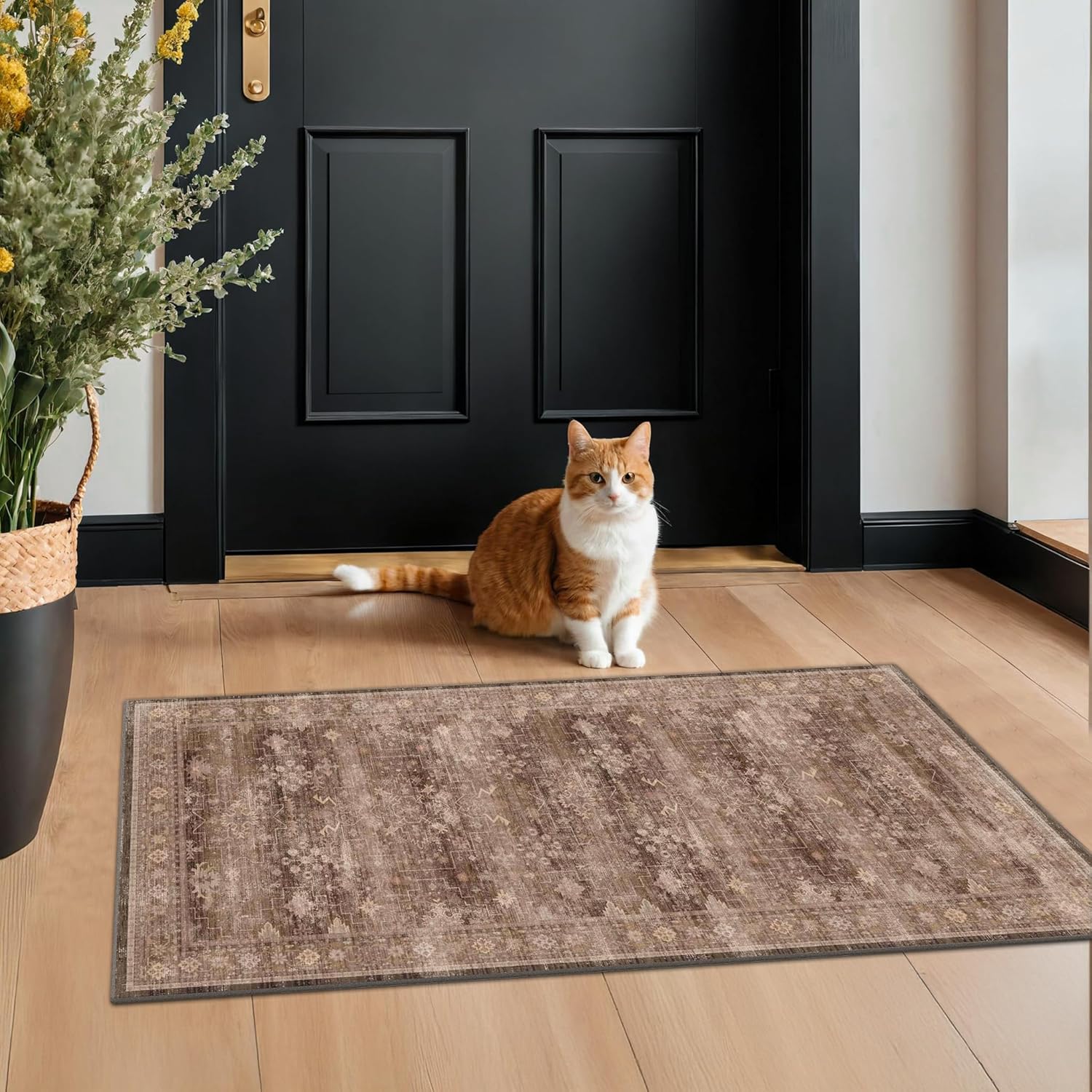Regine Switzerland Brown 2x4 Entryway Runner Rug - Non-Slip, Washable, Vintage Taupe Decor