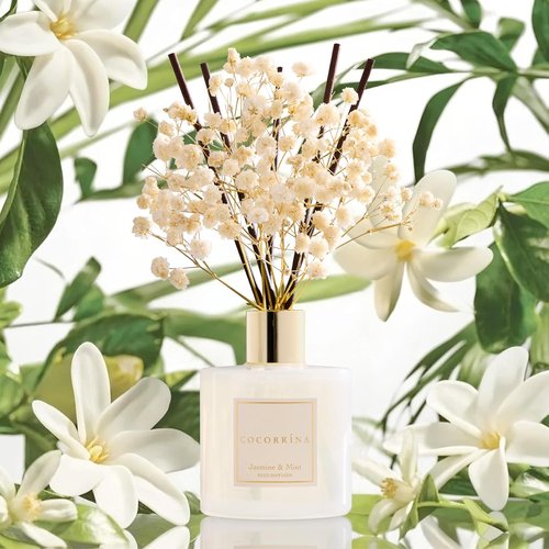 COCORRÍNA Reed Diffuser - Jasmine & Mint 6.7 Fl. Oz Set with Sticks & Preserved Baby's Breath | Home Decor