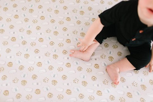 Copper Pearl Premium Knit Baby Crib Sheets for Boys and Girls Breathable and Soft, Fitted Crib Sheets for Standard Baby Mattresses, Chip