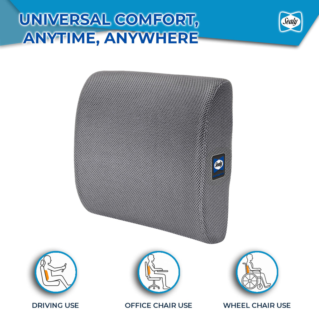 Sealy Ergonomic Lumbar Support Pillow for Office Chair and Car Seat - Memory Foam Back Support Lumbar Pillow, Premium Cushion Chair Support for Lower Back Pain Relief and Versatile Use (Gray)