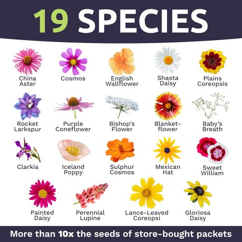 Cut Flower Garden Seeds - Non-GMO Wildflower Seeds Bulk 1/4 Pound Bag | Over 30,000 Colorful Annuals & Perennials