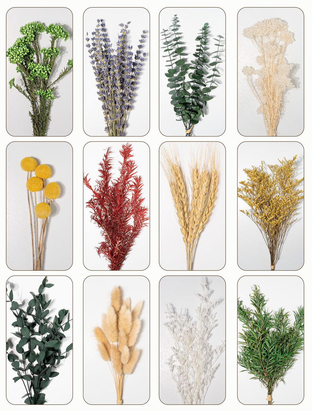 12 Kind Dried Flowers Set - Including Lavender, Eucalyptus, Wheat, Bunny Tails, Handmade for DIY Crafts, Vase Decor, Wedding/Home/Birthday/Seasonal Decor
