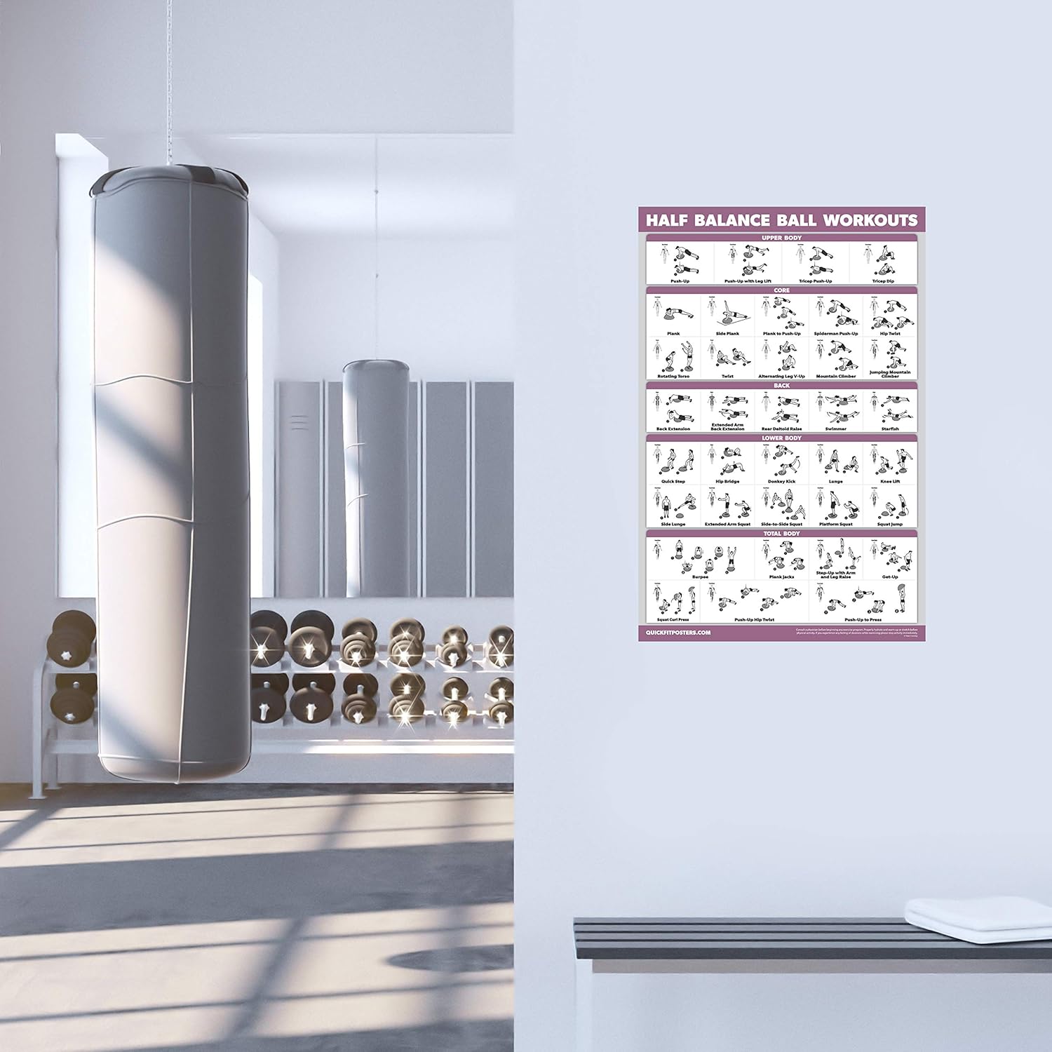 Palace Learning Half Balance Ball Workout Poster - Laminated Exercise Chart (18" x 24")