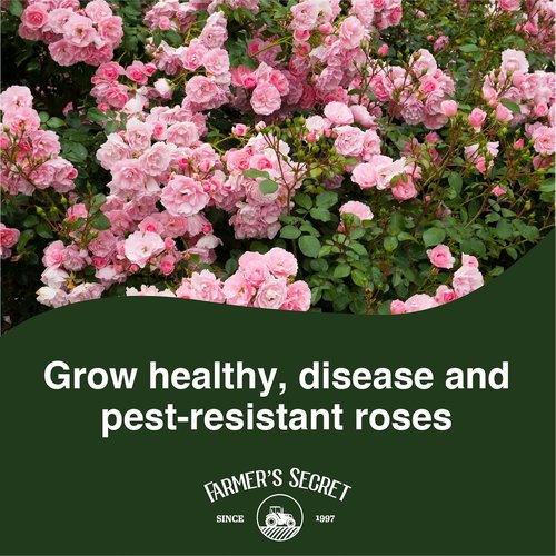 Farmer's Secret Rose Booster Fertilizer - Super Concentrated Formula for Healthy Growth | 8oz
