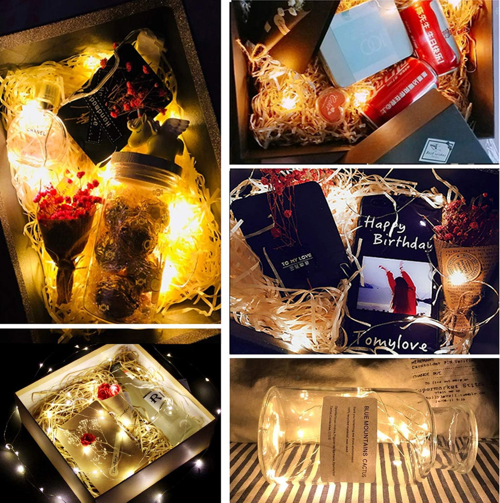TenSteed Fairy String Lights - 6 Pack LED Firefly Lights, 7.2ft Warm White Silvery Copper Wire for Christmas & Weddings