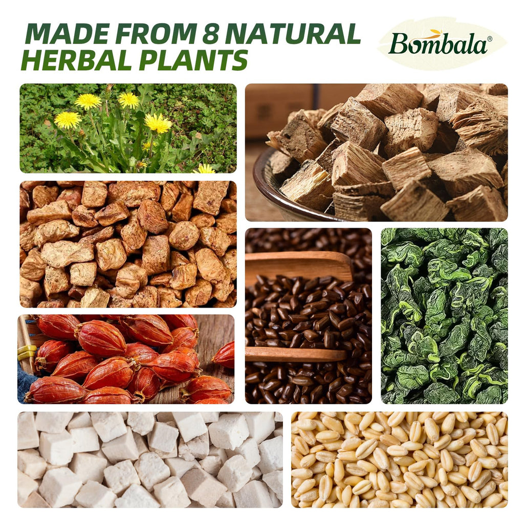 1Bag Bombala Organic Chicory and Gardenia Tea Kidney and Liver Detox Tea- For Diabetics Supports Blood Sugar chicory root- With Tuckaho Cassia Seed Mulberry Leaf Dandelion Burdock root Barley- Vegan & sugar and Caffeine Free