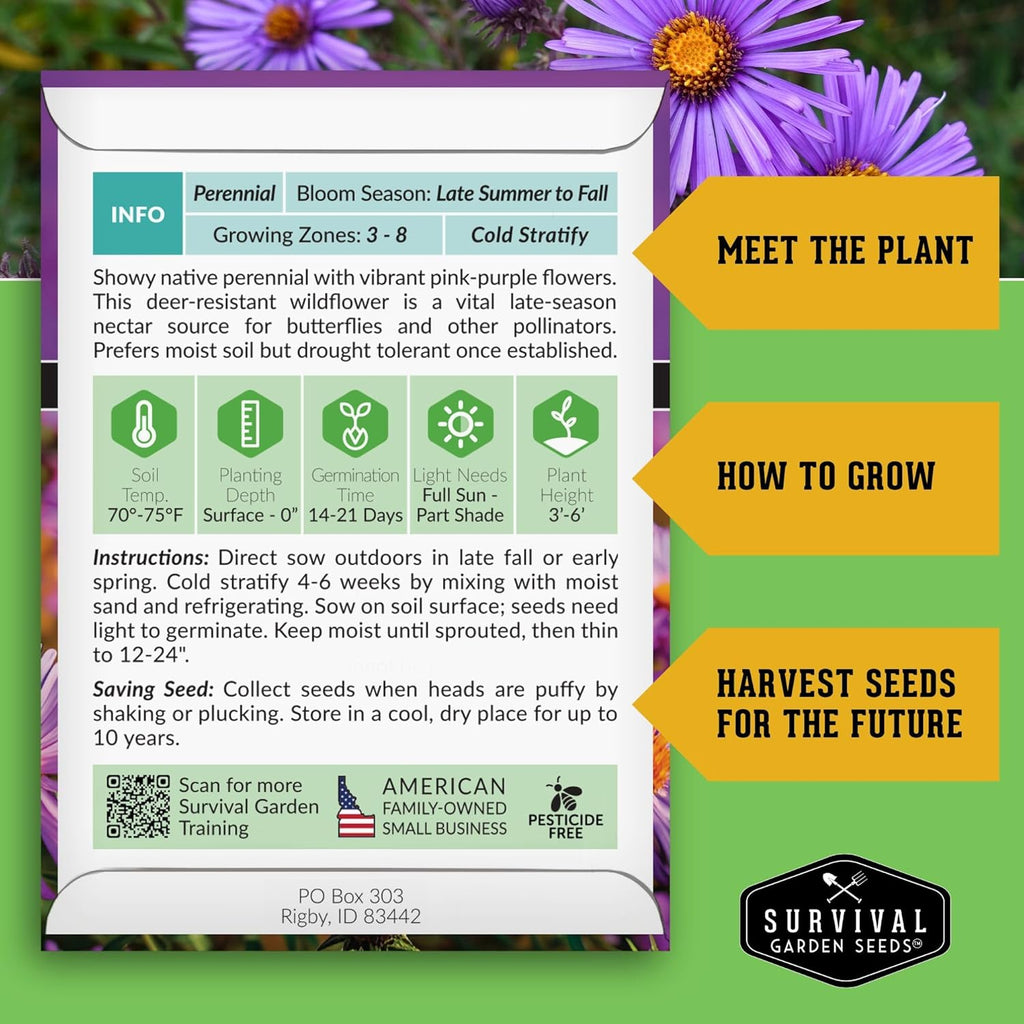Survival Garden Seeds - New England Aster Seeds | Native Purple Perennial Wildflower | Attracts Butterflies | 1 Pack