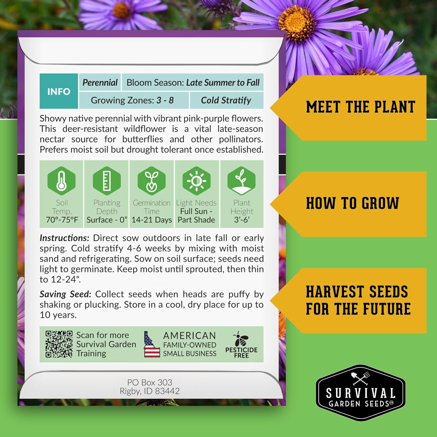 Survival Garden Seeds - New England Aster Seeds | Native Purple Perennial Wildflower | Attracts Butterflies | 1 Pack