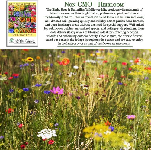 Isla’s Garden Seeds Wildflower Mix - 500+ Non-GMO Heirloom Seeds for Colorful Pollinator Blooms | Perfect for Garden Beds & Meadows