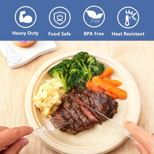 9 Inch Heavy Duty Disposable Plates and Plastic Silverware Set-600 PCS Include Compostable Paper Plates,Plastic Forks,Spoons,Knives (150 Each),BPA-Free,Suitable for Wedding,Holiday,Party,Catering