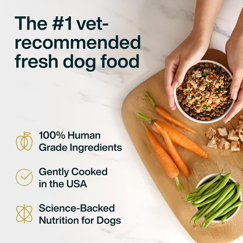 JustFoodForDogs JustFresh Boost Dog Food Toppers - Sensitive Skin & Immune Support, 8 oz Pouches (8 Pack)