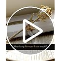 Forever Rose 24K Gold Dipped Real Rose in Bloom Box & Vase - Handmade Gift