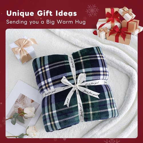 Gracelife Sherpa Fleece Throw Blanket for Couch, Fluffy Plush Warm Fuzzy Blanket for Women and Men, Cozy Thick Soft Twin Blanket for Bed (Green-Soft Blue, 60"*80")