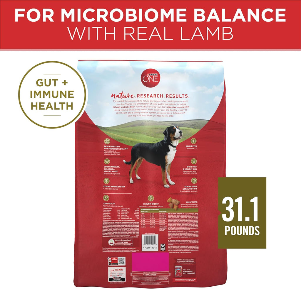 Purina ONE Dry Dog Food - Lamb & Rice Formula for Healthy Digestion | 31.1 lb. Bag