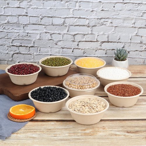 JAYEEY 10 oz Round Disposable salad bowls with lids, Sugarcane Fiber Paper Bowls take away food containers Plant Fibers Freezer Safe 50 Pack