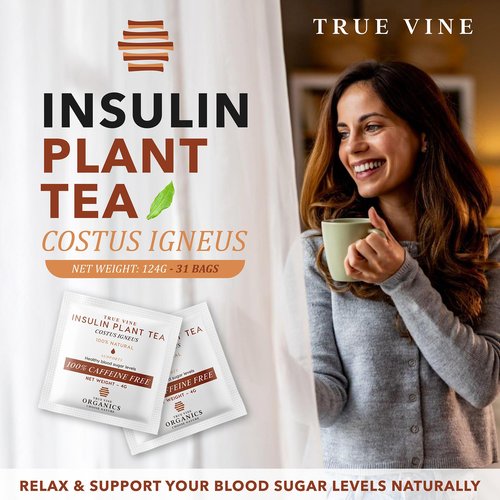True Vine Insulin Plant Tea (USDA Organic) — Herbal Organic Tea Bags for Blood Sugar Support, Digestive Wellness & Metabolic Balance — 100% Natural, Caffeine-Free, No Additives – 31 Sachets (4g Each)